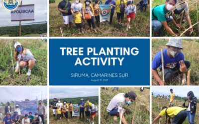 Tree Planting Activity