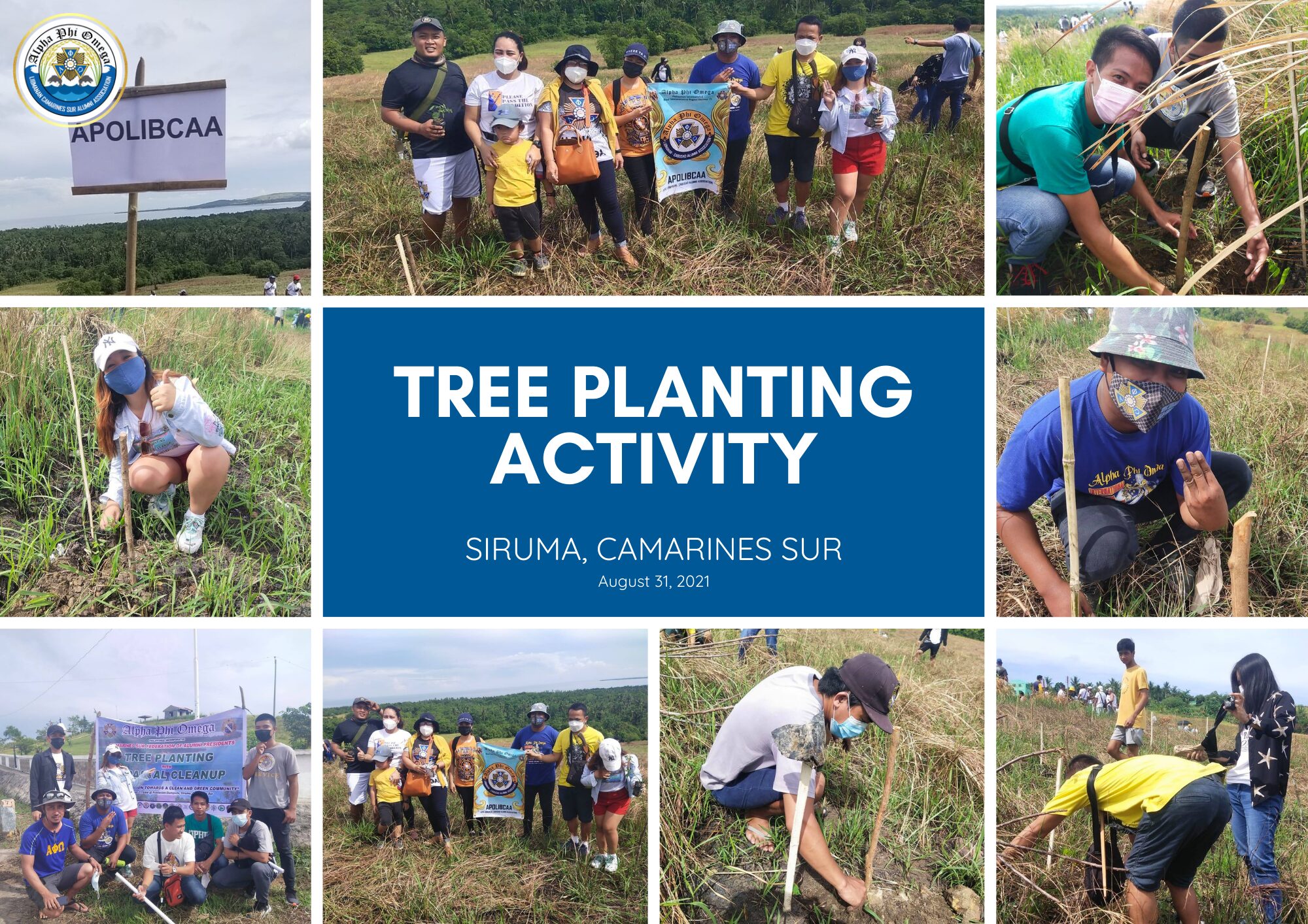 tree planting - siruma