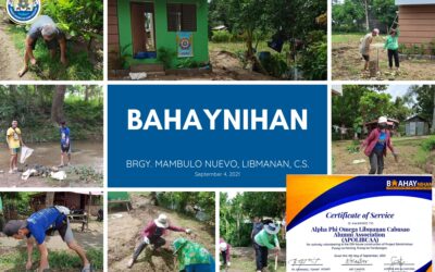 Project Bahaynihan